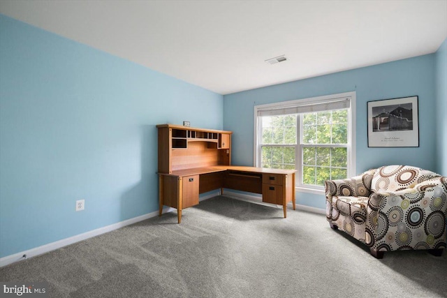 7135 Hills Ln, Warrenton, VA 20187 - carpeted home office with baseboards