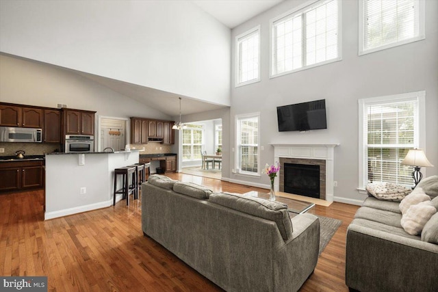 7135 Hills Ln, Warrenton, VA 20187 - living area featuring high vaulted ceiling, wood finished floors, a fireplace with flush hearth, and baseboards