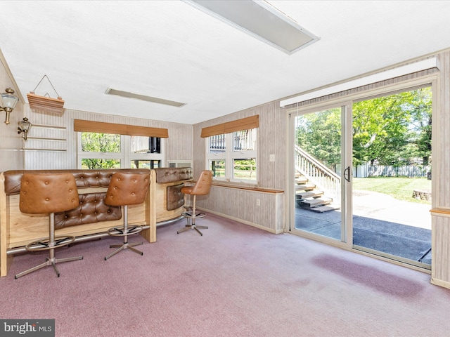 office space featuring carpet and a healthy amount of sunlight