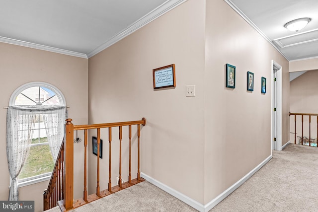 hallway with baseboards, an upstairs landing, crown molding, attic access, and carpet flooring