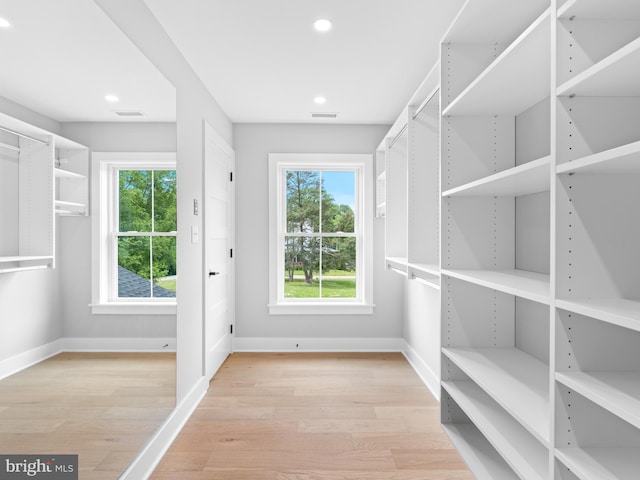 walk in closet with visible vents and light wood-type flooring