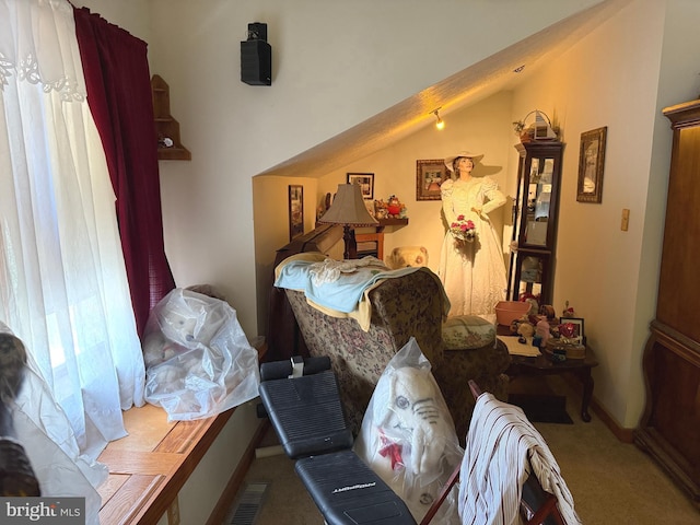 bedroom with carpet flooring and vaulted ceiling