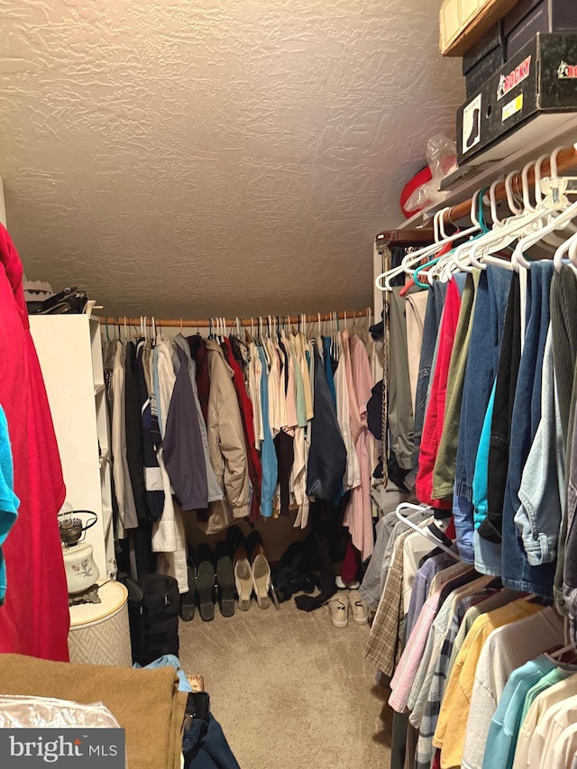 walk in closet with carpet floors