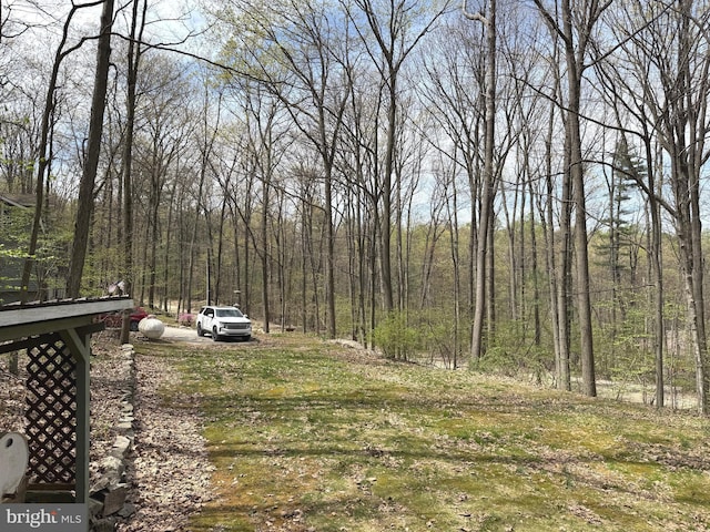 view of yard with a wooded view