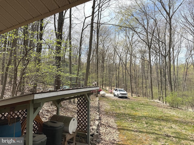 view of yard with a view of trees
