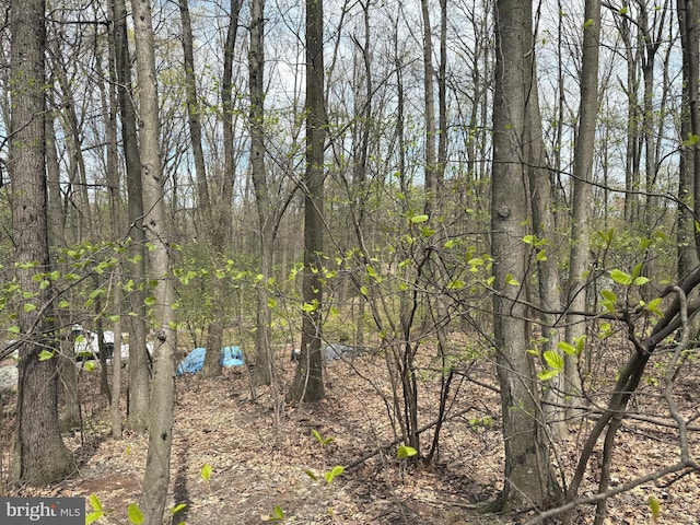 view of landscape with a forest view