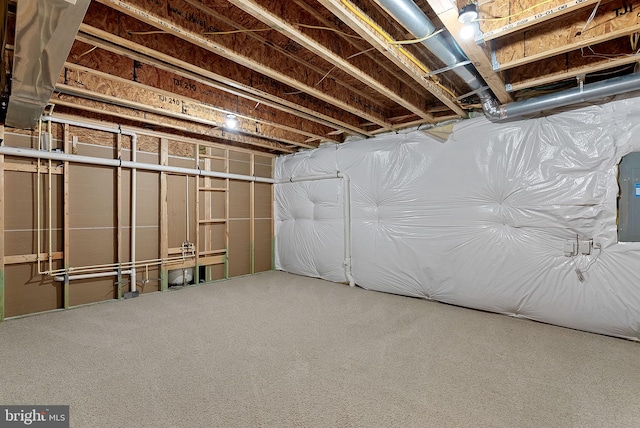 unfinished basement featuring carpet flooring