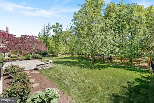 view of yard featuring a patio area