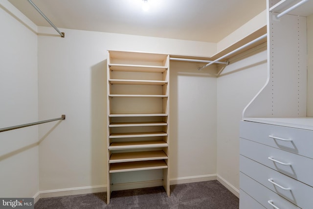 1428 Center Rd, Lancaster, PA 17603 - spacious closet with carpet