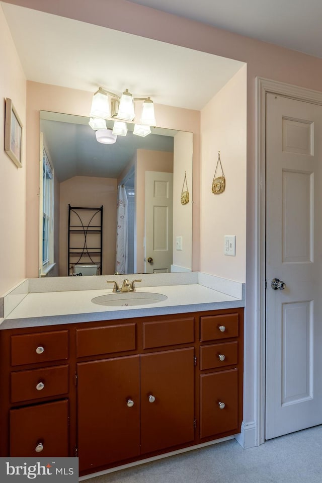 1428 Center Rd, Lancaster, PA 17603 - bathroom with vanity and vaulted ceiling