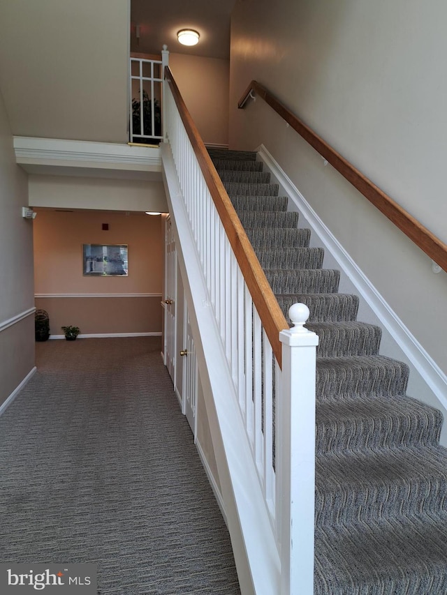 1310W Sheridan Pl Unit 301, Bel Air, MD 21015 - stairs featuring carpet floors and baseboards