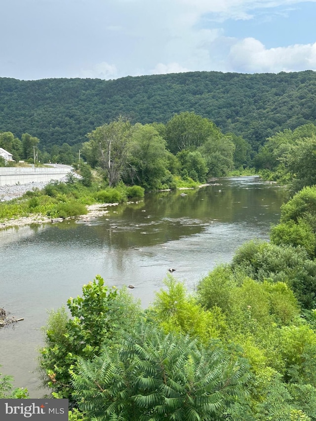 6573 Raystown Rd, Hopewell, PA 16650 - property view of water with a wooded view