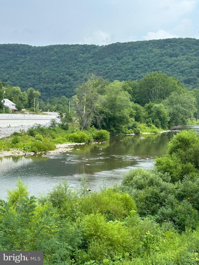 6573 Raystown Rd, Hopewell, PA 16650 - property view of water with a wooded view