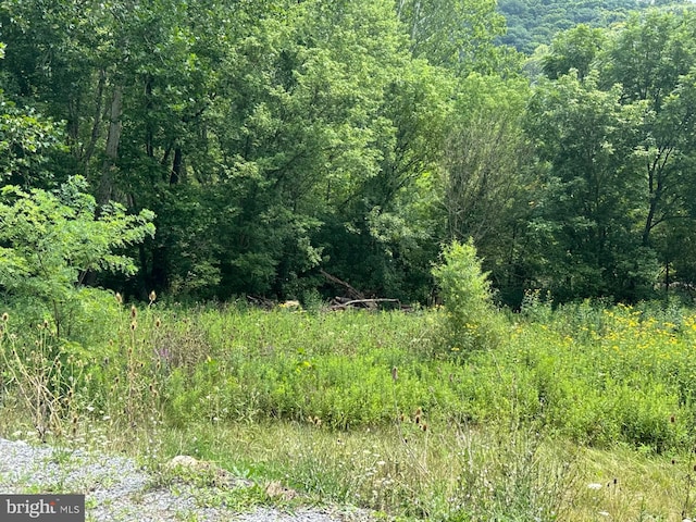 6573 Raystown Rd, Hopewell, PA 16650 - view of landscape featuring a view of trees