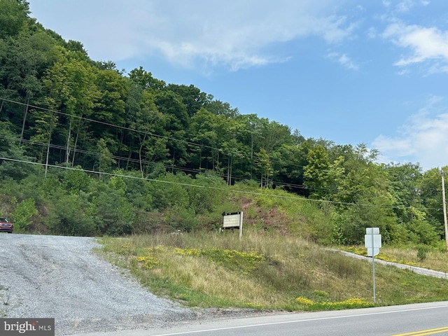 6573 Raystown Rd, Hopewell, PA 16650 - view of road featuring a forest view