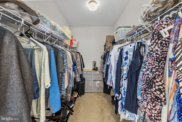 spacious closet with carpet