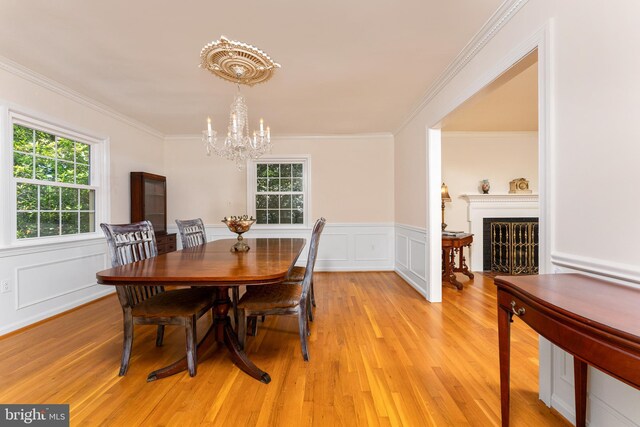 dining room featuring a chandelier, healthy amount of natural light, light wood finished floors, ornamental molding, and a fireplace with flush hearth