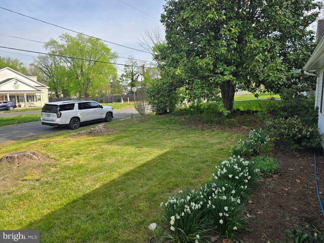 view of yard