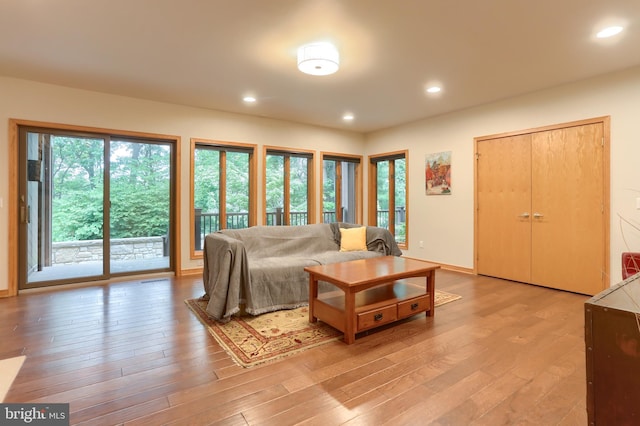 1023 Fairdell Dr, Hummelstown, PA 17036 - living area with light wood finished floors and recessed lighting
