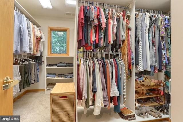 1023 Fairdell Dr, Hummelstown, PA 17036 - spacious closet featuring carpet flooring