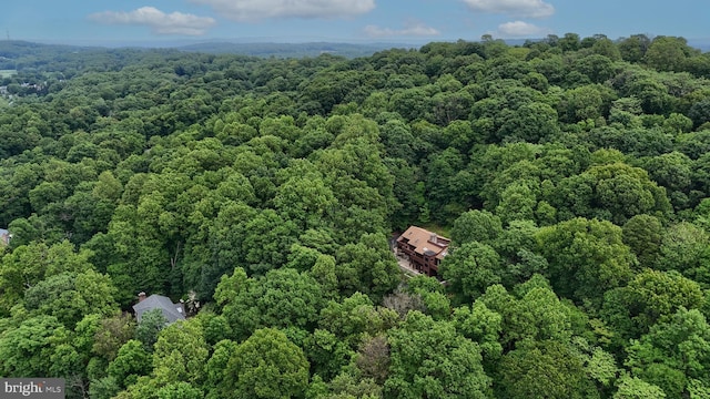 1023 Fairdell Dr, Hummelstown, PA 17036 - bird's eye view of a forest