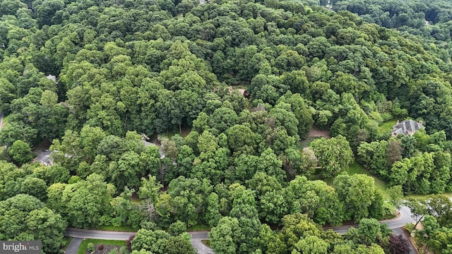 1023 Fairdell Dr, Hummelstown, PA 17036 - aerial view of property and surrounding area featuring a forest