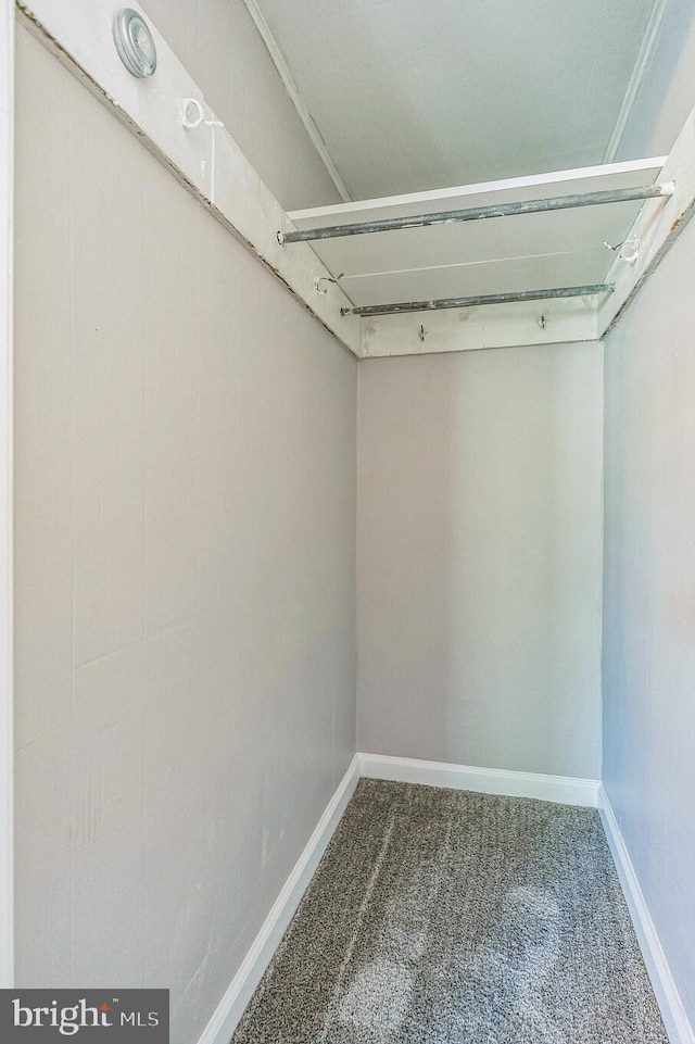 2325 W 4th St, Chester, PA 19013 - walk in closet with carpet floors