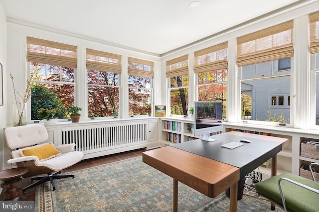 3712 Bradley Ln, Chevy Chase, MD 20815 - sunroom / solarium featuring radiator heating unit