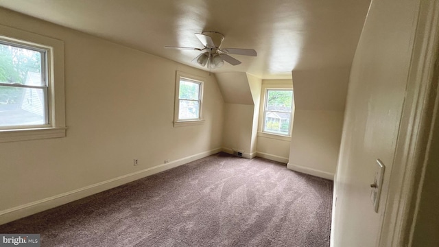 710 Roger St, Salisbury, MD 21804 - additional living space with carpet flooring, ceiling fan, and vaulted ceiling