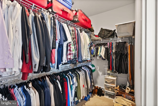 spacious closet with carpet
