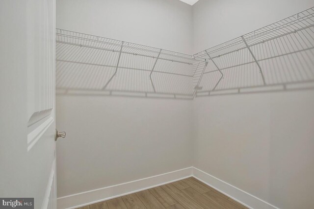 170 Harrier Way Unit 11, Chester, MD 21619 - walk in closet featuring wood finished floors