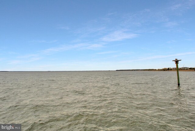 170 Harrier Way Unit 11, Chester, MD 21619 - view of yard with a water view