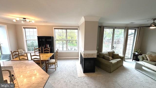 1909 Kenwood Ave Unit 303, Alexandria, VA 22302 - living area featuring a wealth of natural light, carpet, and crown molding