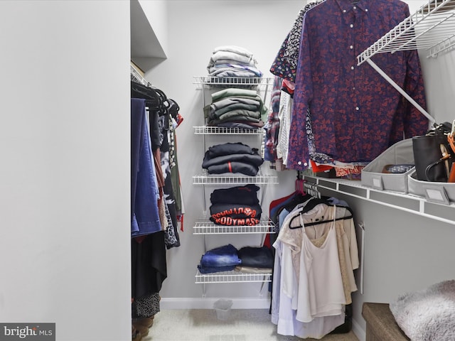 1909 Kenwood Ave Unit 303, Alexandria, VA 22302 - walk in closet featuring carpet floors