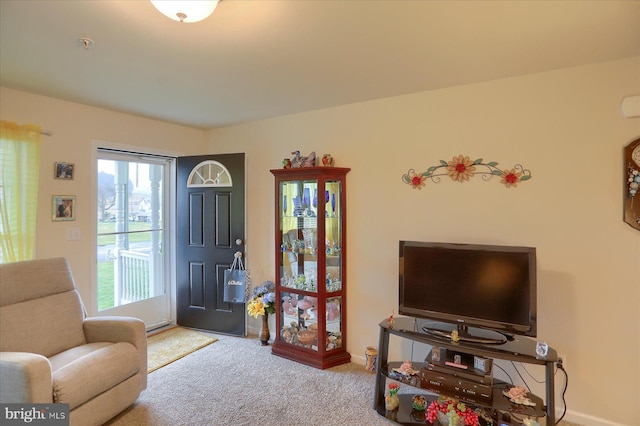 living area featuring carpet floors and baseboards
