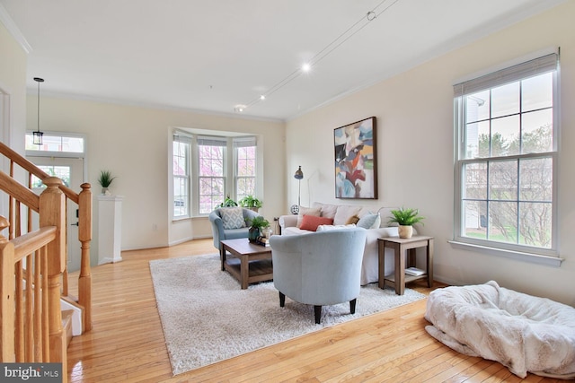 living area with ornamental molding, baseboards, and light wood-style floors