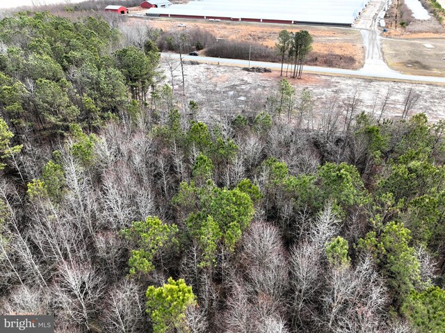 LOT1 N Union Church Rd, Ellendale, DE 19941