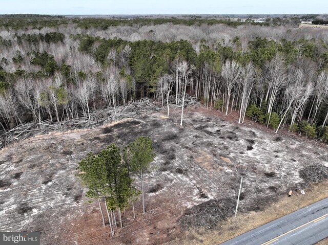 LOT1 N Union Church Rd, Ellendale, DE 19941