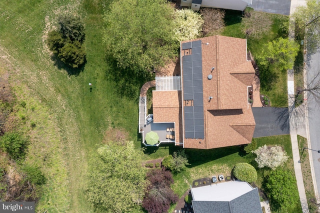 bird's eye view