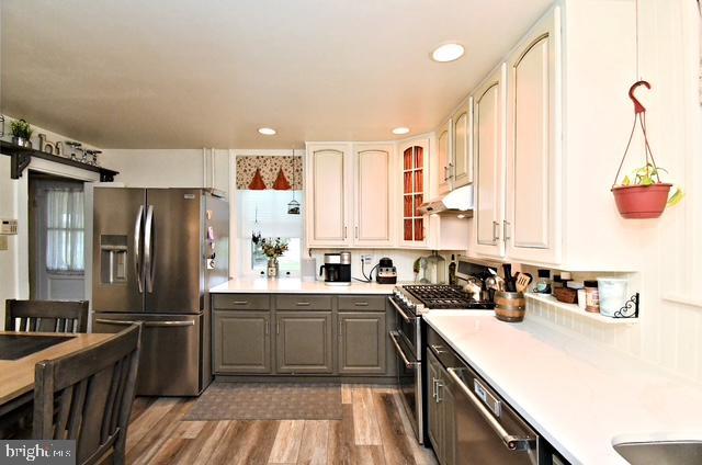 kitchen featuring under cabinet range hood, wood finished floors, stainless steel appliances, and light countertops