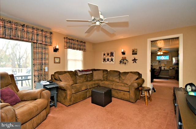 living area with a ceiling fan and carpet flooring