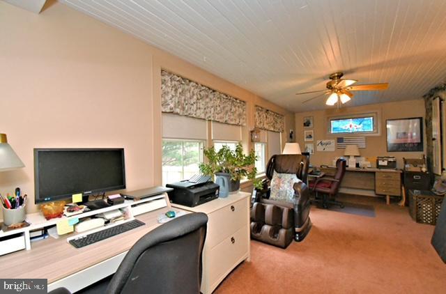 office with wood ceiling, a ceiling fan, and carpet flooring