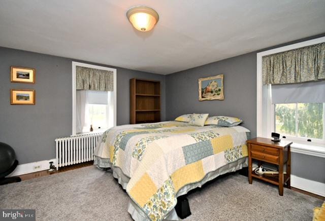 bedroom with radiator heating unit and multiple windows