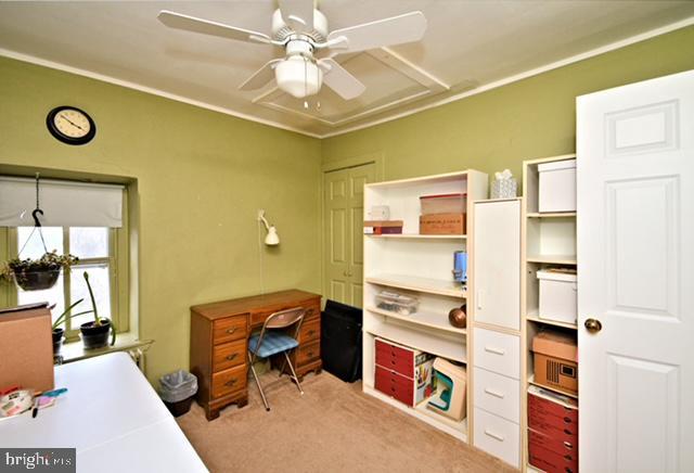 office space with ornamental molding, carpet floors, and a ceiling fan