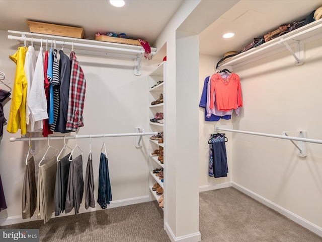 walk in closet featuring carpet flooring