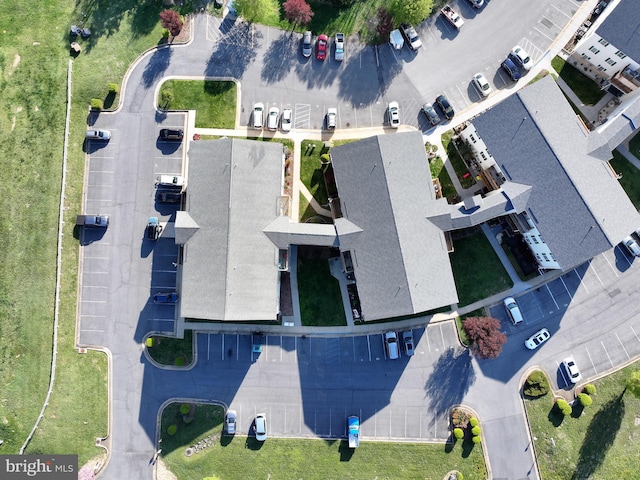 bird's eye view