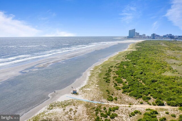 water view featuring a view of the beach and a city view