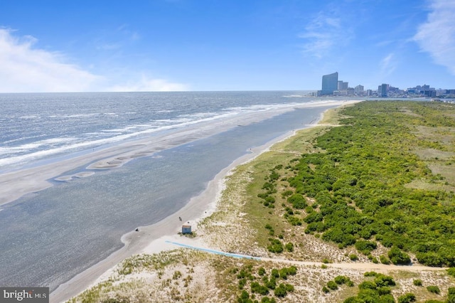 property view of water with a city view and a view of the beach