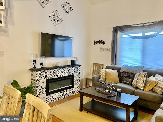 living area featuring wood finished floors and a tile fireplace