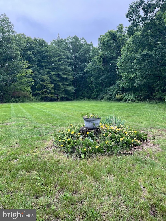 3080 Beautiful Run Rd, Orange, VA 22960 - view of green lawn featuring a view of trees